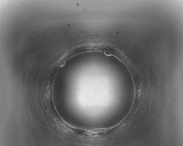 X0000082711204200702021410