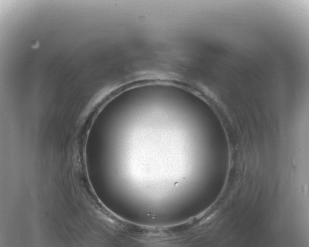 X0000082711215200702021410