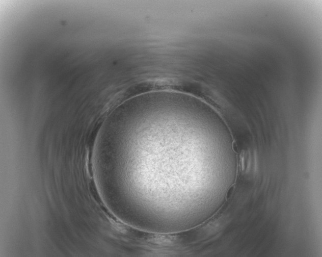 X0000082711251200702021410