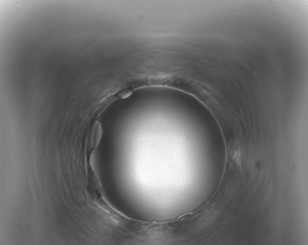 X0000082711252200702021410