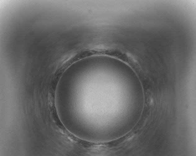 X0000082711253200702021410
