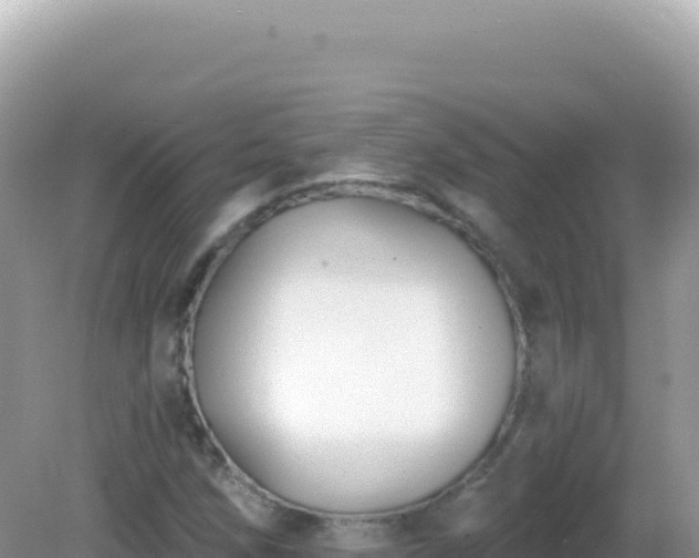 X0000082711258200702021410