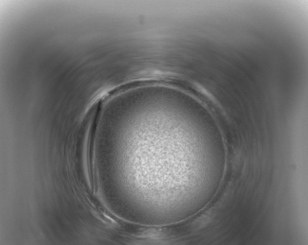 X0000082711259200702021410