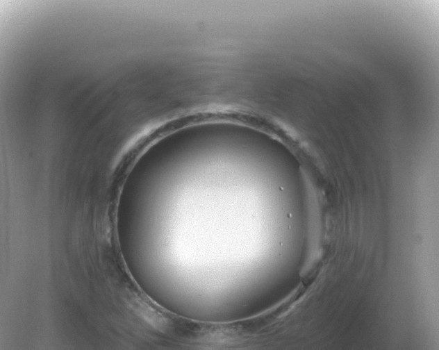 X0000082711262200702021410