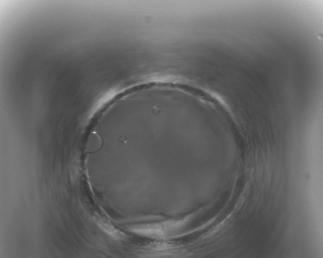 X0000082711263200702021410