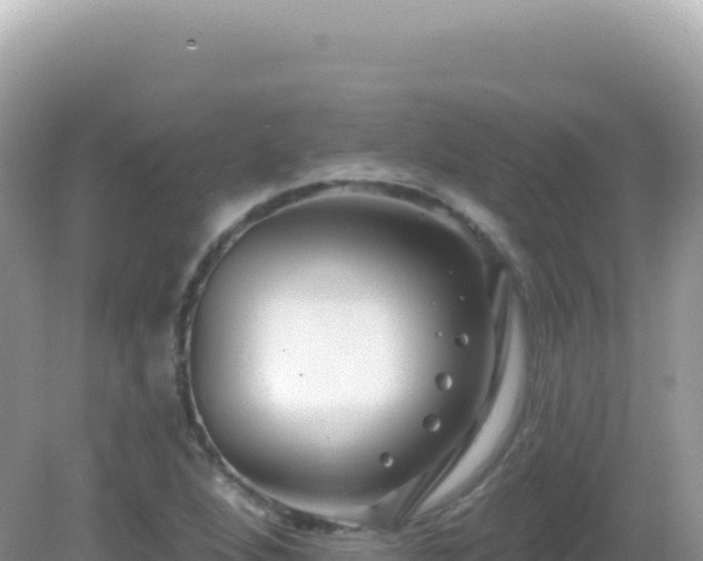 X0000082711264200702021410