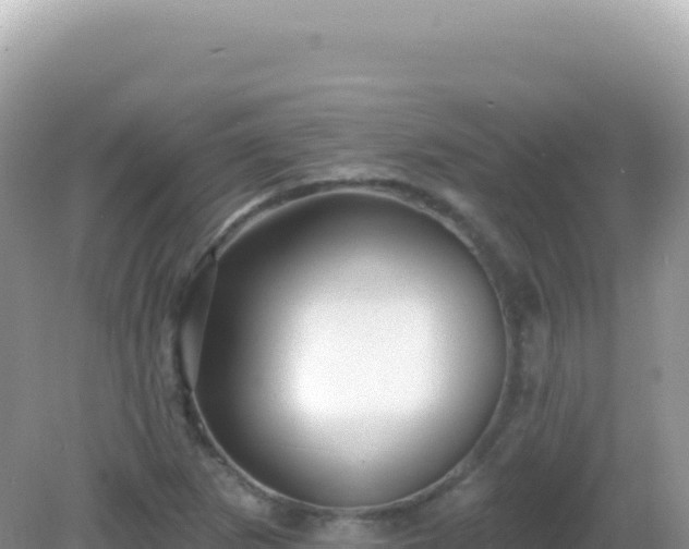 X0000082711265200702021410