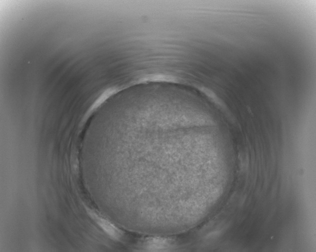 X0000082711266200702021410