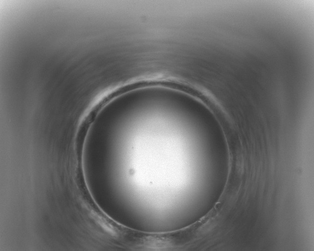 X0000082711270200702021410