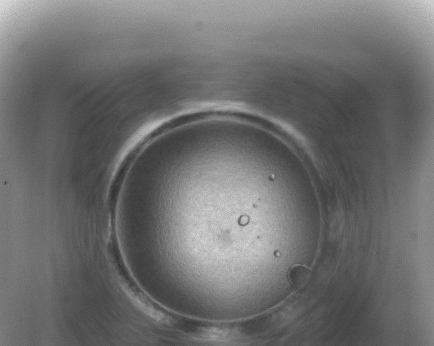 X0000082711271200702021410