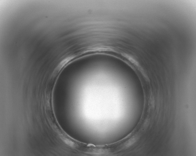 X0000082711273200702021410