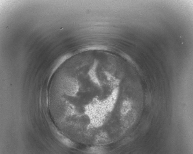 X0000082711274200702021410