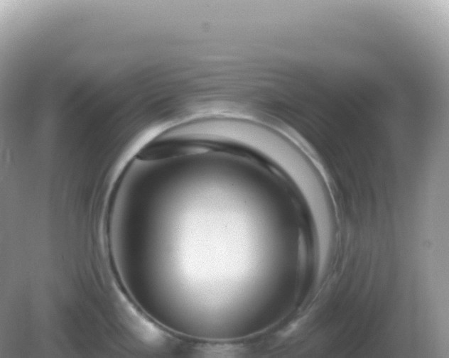 X0000082711293200702021409