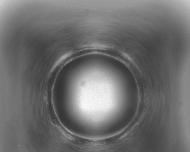 X0000082711307200702021409