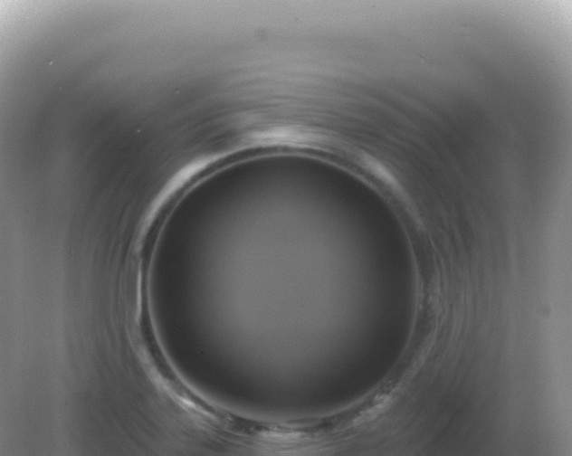 X0000082711323200702021409