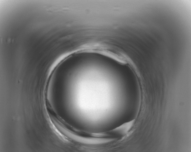 X0000082711344200702021409