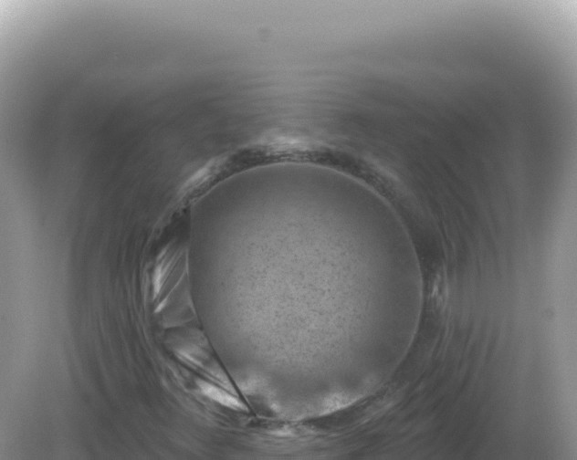 X0000082711348200702021408
