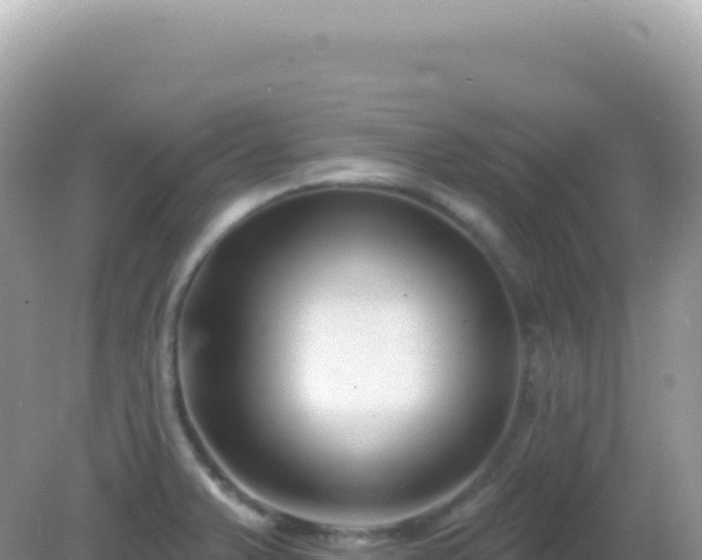 X0000082711375200702021408