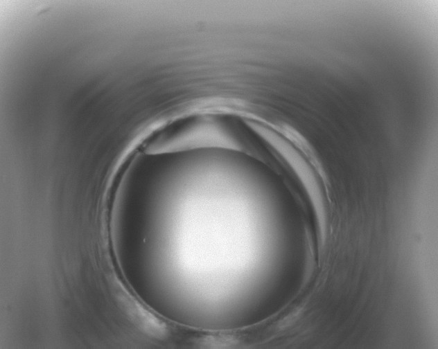 X0000082711384200702021408