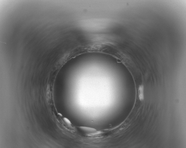 X0000082711395200702021407