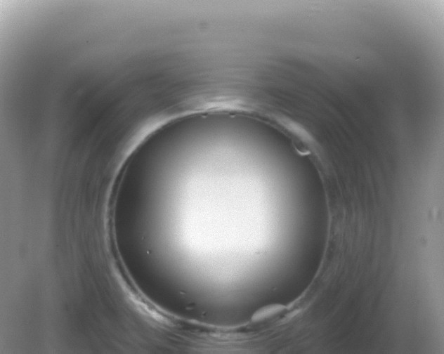 X0000082711423200702021407