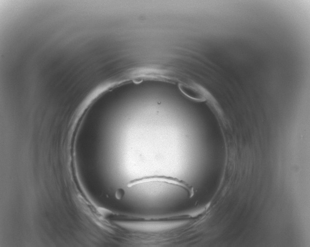 X0000082711435200702021408