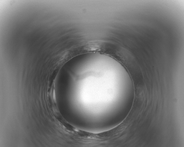 X0000082711442200702021407