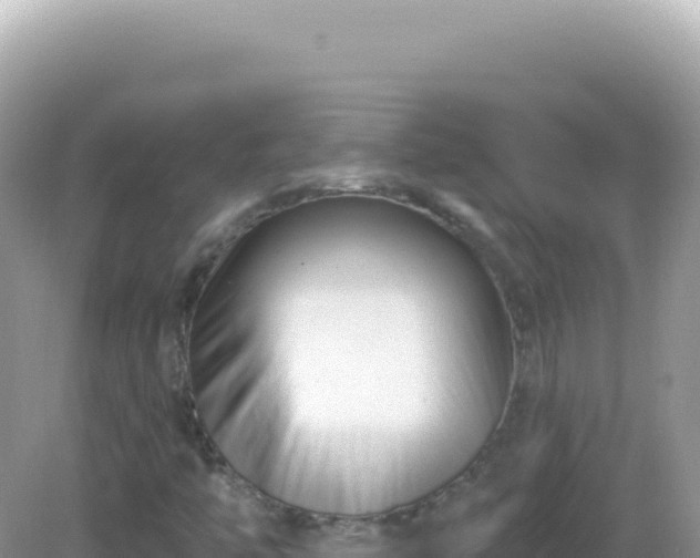 X0000082711446200702021407