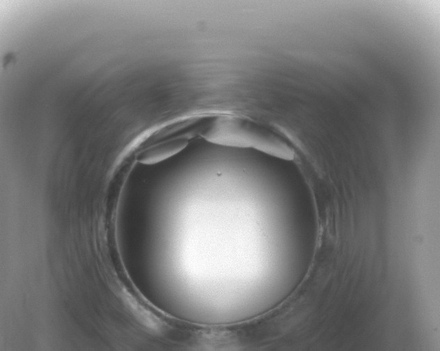 X0000082711452200702021407