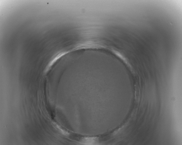X0000082711453200702021407