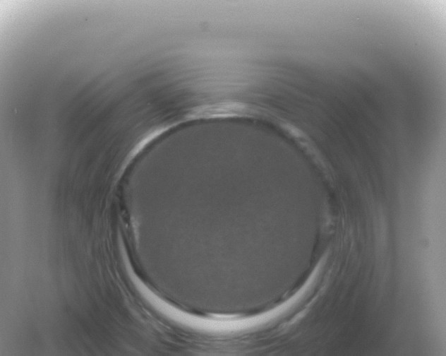 X0000082711457200702021407