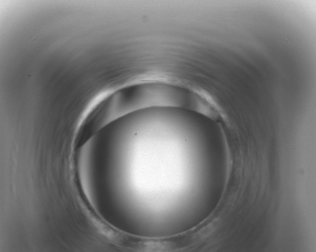 X0000082711469200702021406