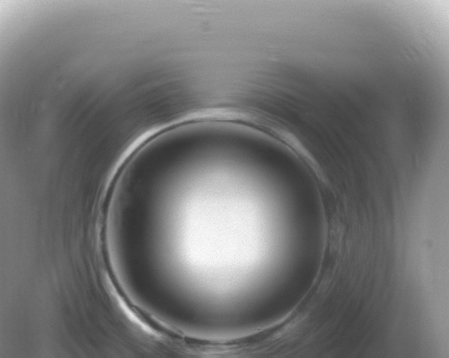 X0000082711484200702021406