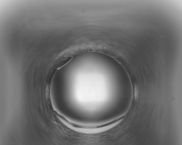 X0000082711492200702021405