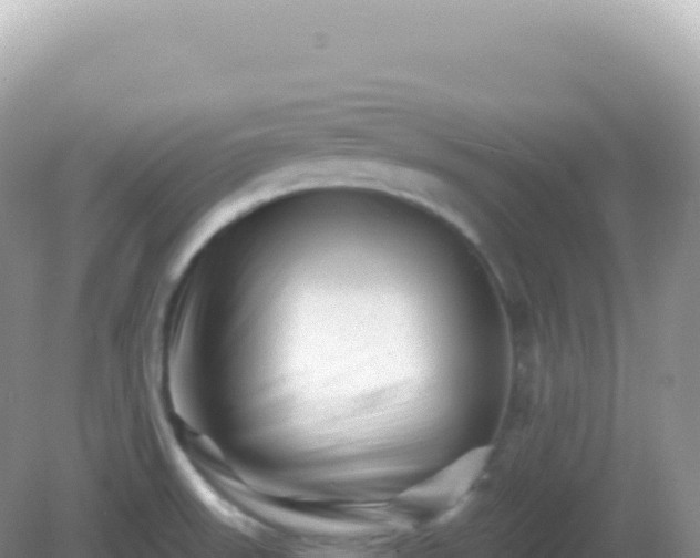 X0000082711523200702021406