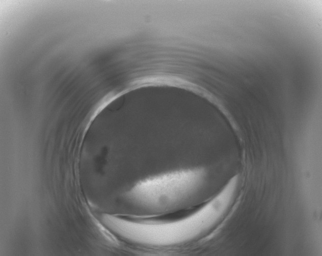 X0000082711529200702021406