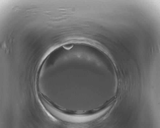X0000082711533200702021406