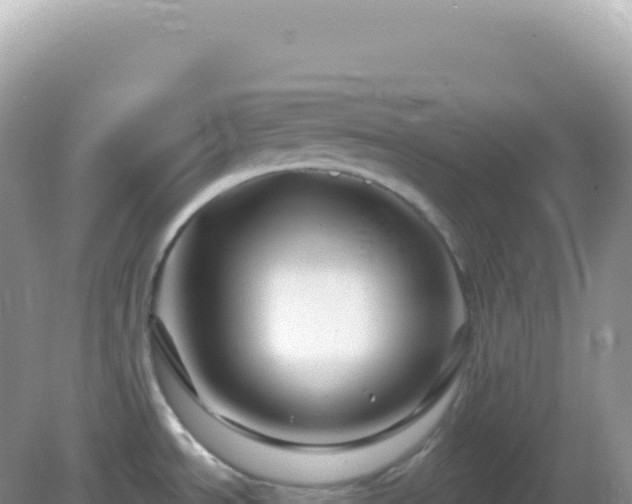 X0000082711534200702021406