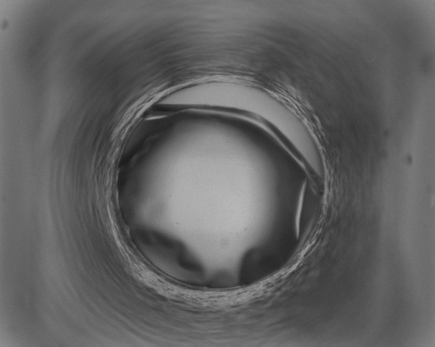 X0000082710001200702091759