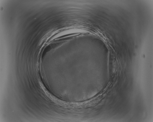 X0000082710002200702091759