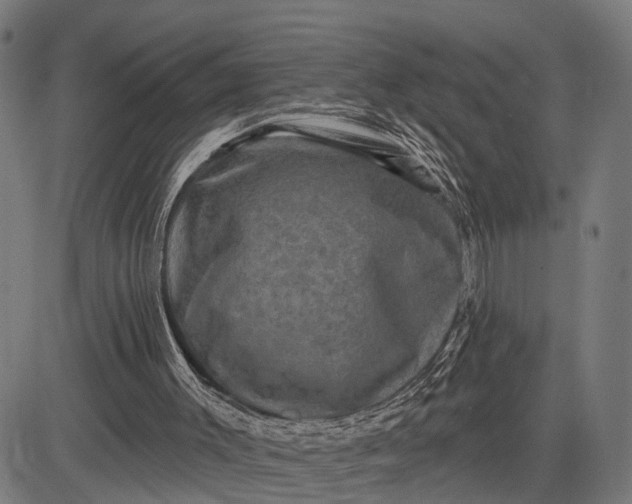 X0000082710003200702091759