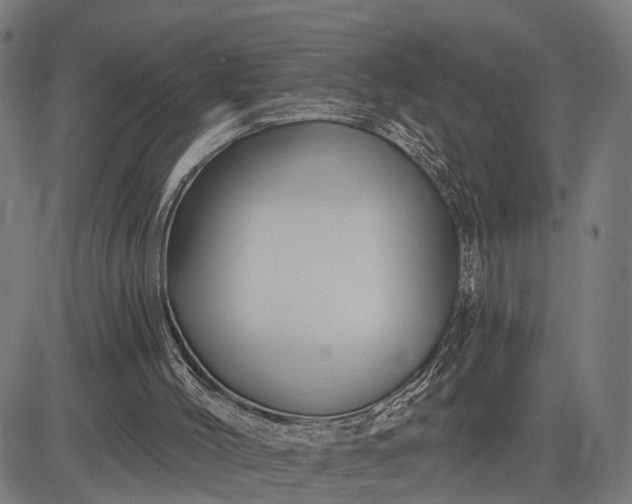 X0000082710004200702091759