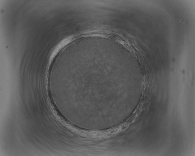 X0000082710006200702091759