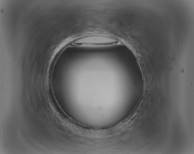 X0000082710008200702091759