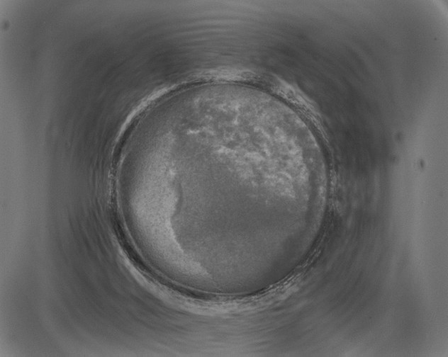 X0000082710012200702091759