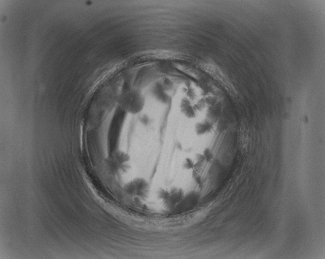 X0000082710014200702091759