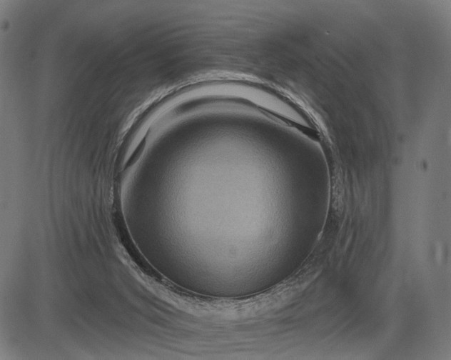 X0000082710015200702091759