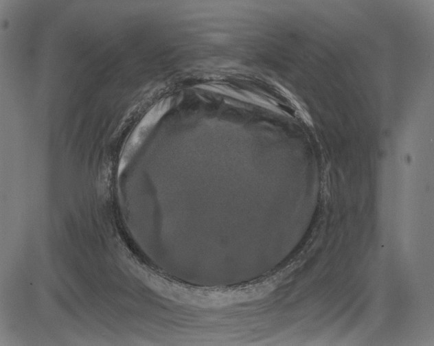 X0000082710018200702091759