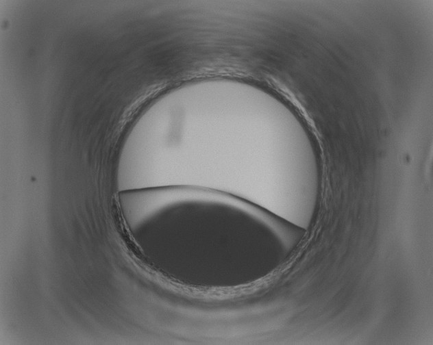 X0000082710019200702091759