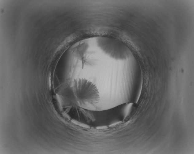 X0000082710020200702091759